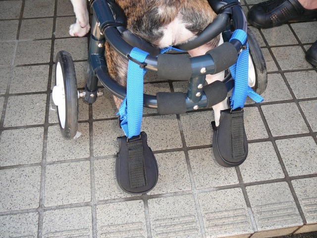 640×480-P1110270.jpg