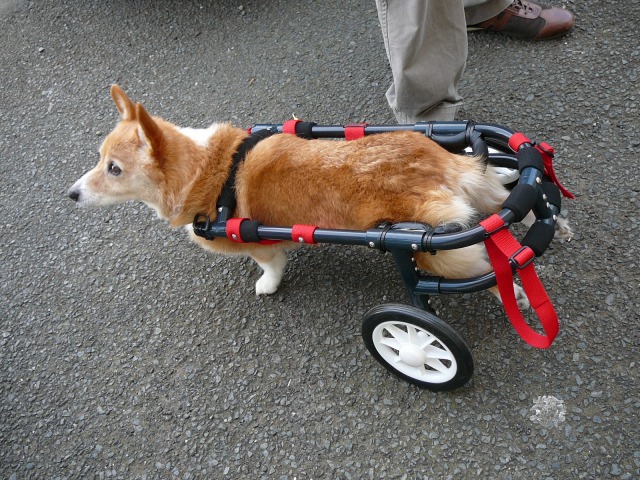 640×480-P1110316.jpg