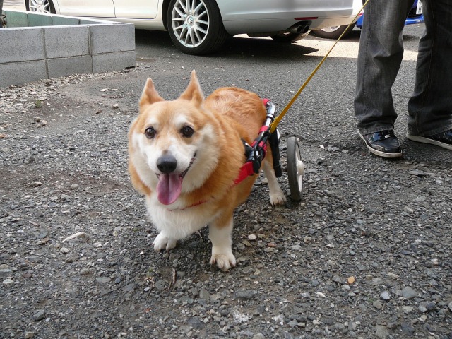 640×480-P1110491.jpg