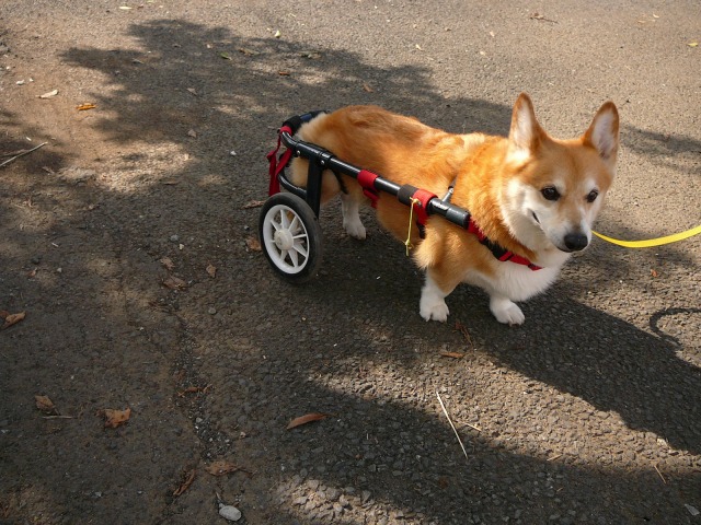640×480-P1110494.jpg