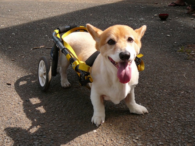 640×480-P1110512.jpg
