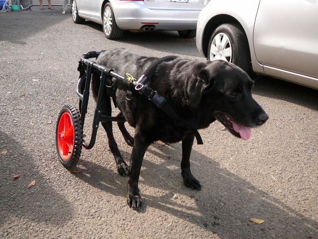 640×480-P1110518.jpg