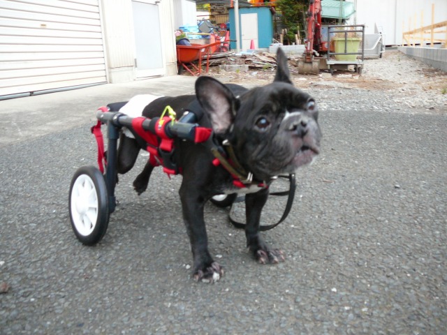 640×480-P1110547.jpg