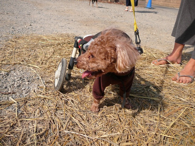 640×480-P1110554.jpg