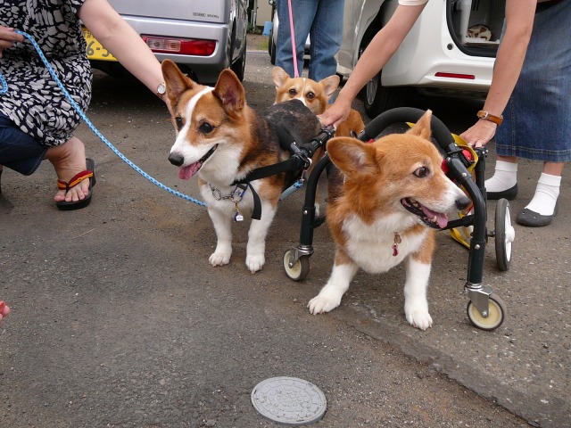 640×480-P1110645.jpg