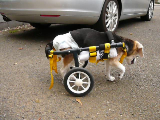 640×480-P1110751.jpg