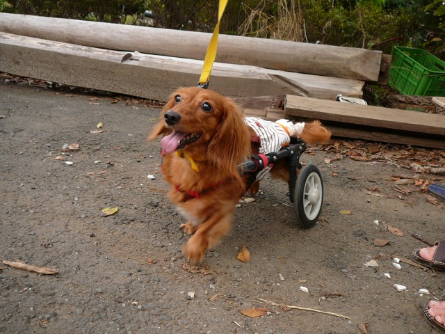 640×480-P1110765.jpg