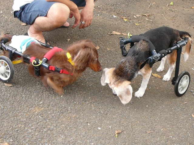 640×480-P1110783.jpg