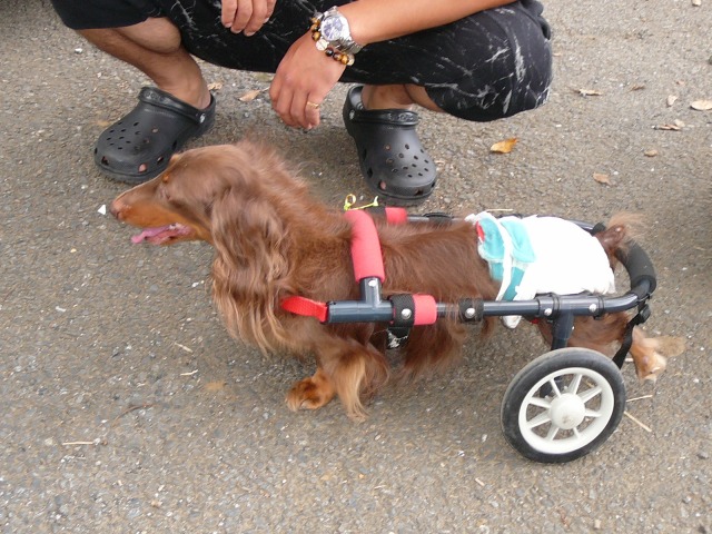 640×480-P1110786.jpg