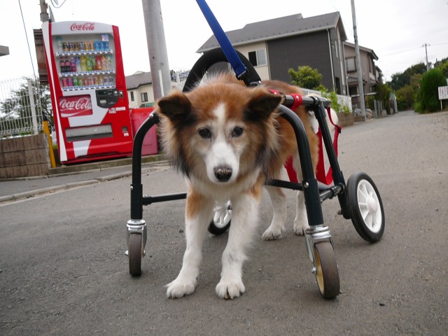 640×480-P1110835.jpg