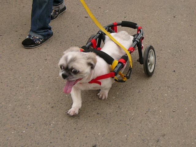 640×480-P1110849.jpg