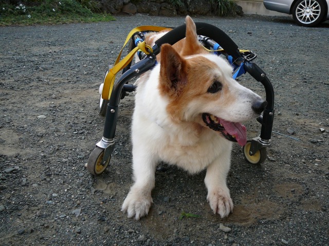 640×480-P1110881.jpg