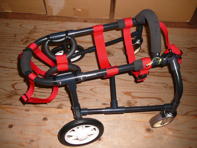 640×480-P1110902.jpg