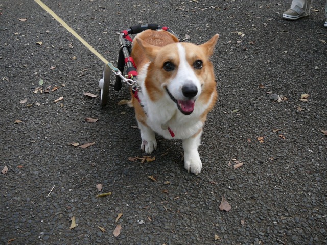640×480-P1110919.jpg