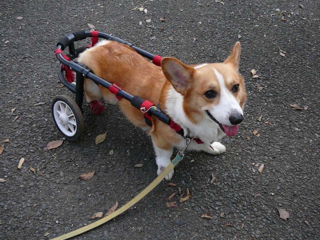 640×480-P1110923.jpg