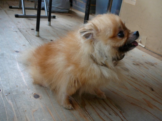 640×480-P1110935.jpg