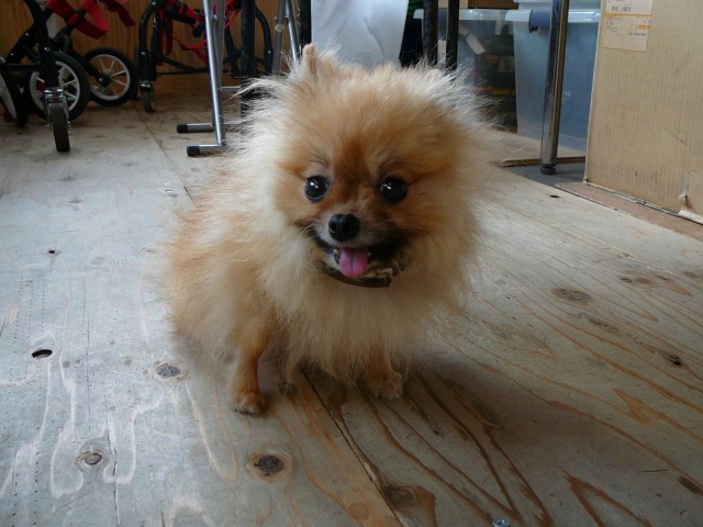 640×480-P1110937.jpg