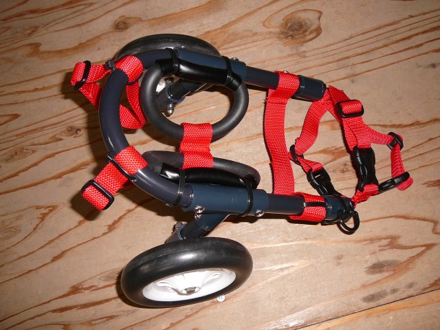 640×480-P1110970.jpg