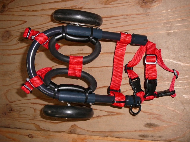 640×480-P1110971.jpg