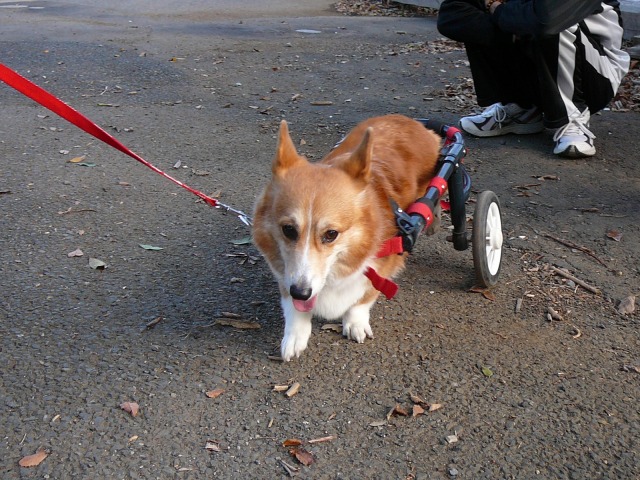 640×480-P1120043.jpg