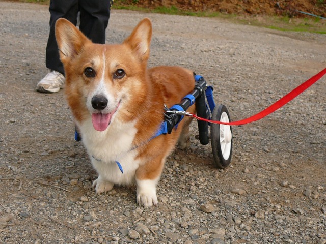 640×480-P1120069.jpg