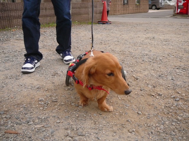 640×480-P1120079.jpg