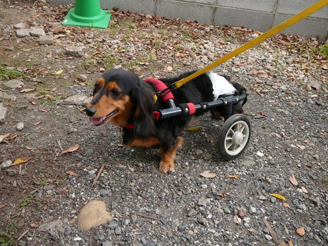 640×480-P1120099.jpg