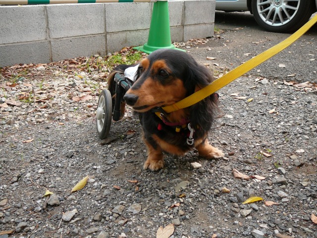 640×480-P1120101.jpg