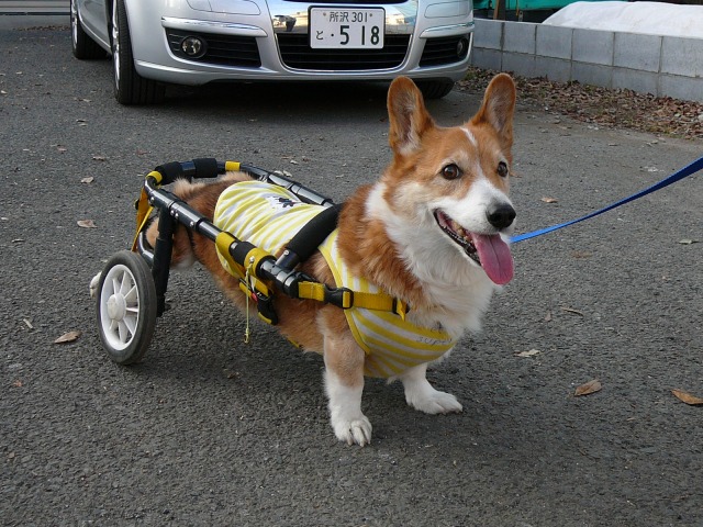 640×480-P1120172.jpg