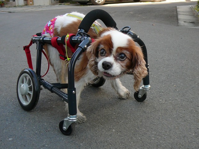 640×480-P1120207.jpg