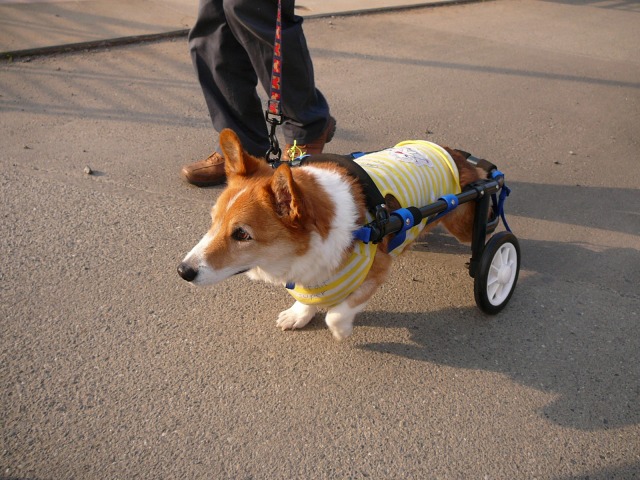 640×480-P1120221.jpg