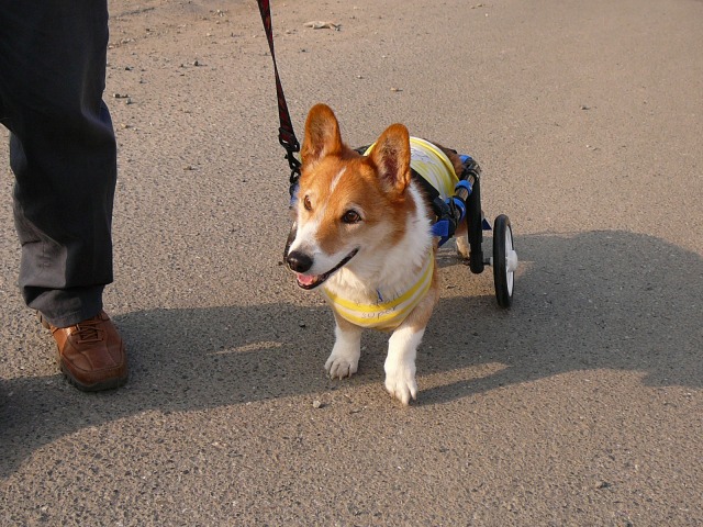 640×480-P1120222.jpg
