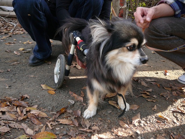 640×480-P1120266.jpg