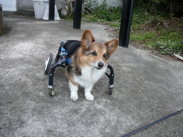 640×480-P1120302.jpg