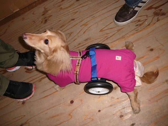 640×480-P1120389.jpg