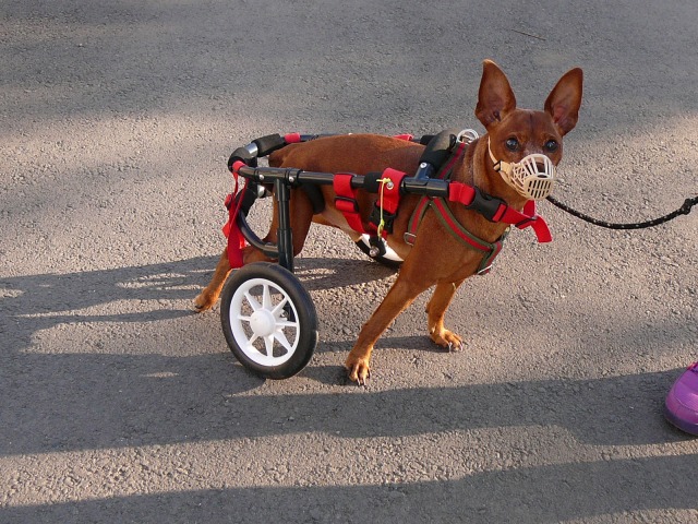 640×480-P1120397.jpg