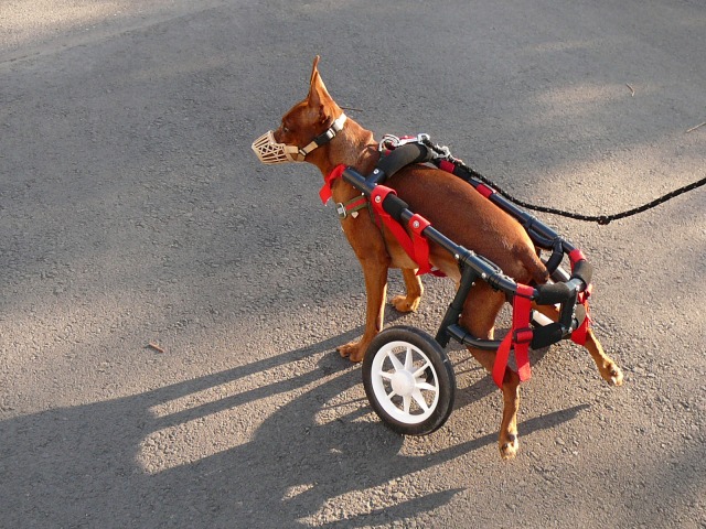 640×480-P1120398.jpg
