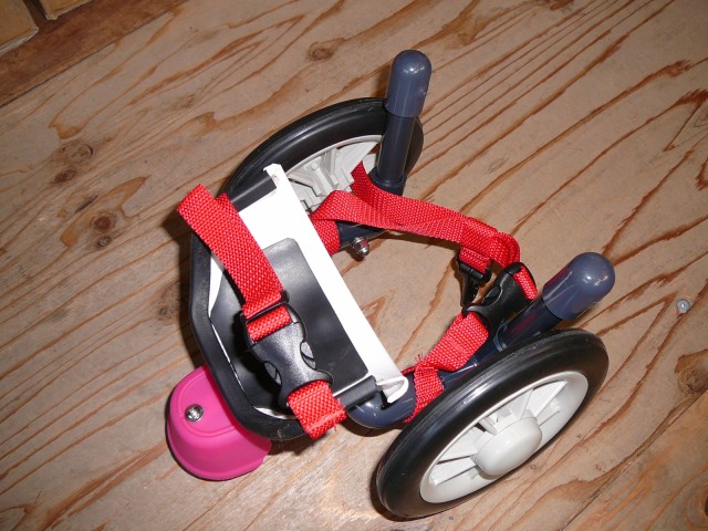 640×480-P1120549.jpg