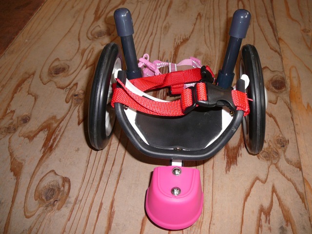 640×480-P1120553.jpg