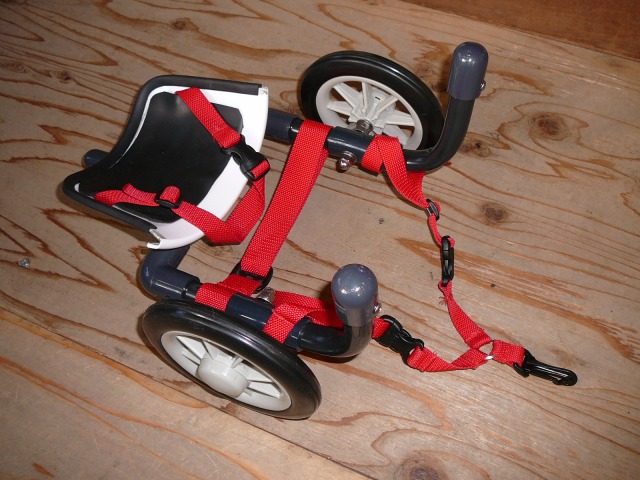 640×480-P1120600.jpg