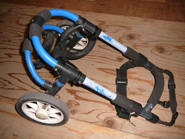 640×480-P1120700.jpg