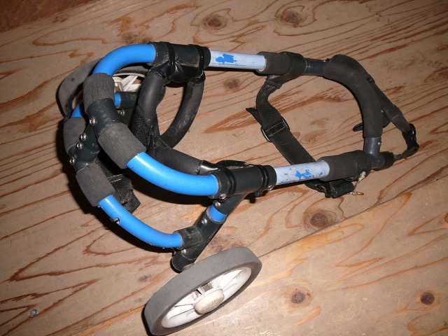 640×480-P1120701.jpg