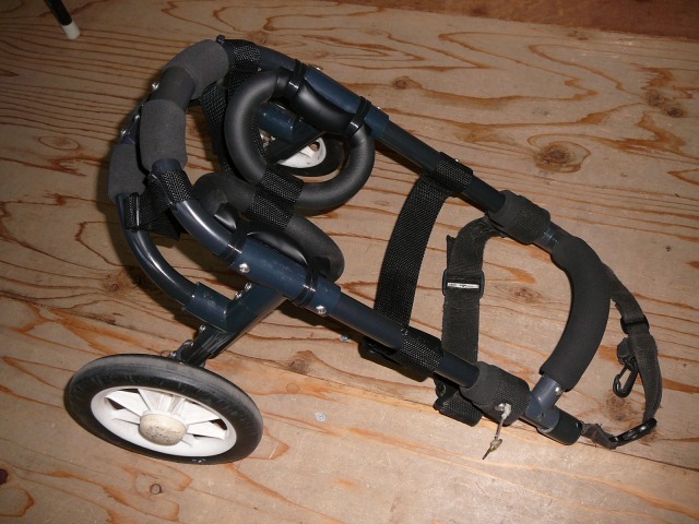 640×480-P1120707.jpg