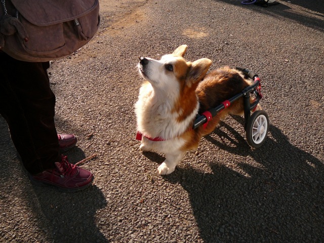 640×480-P1120713.jpg
