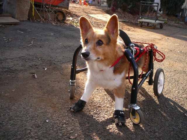 640×480-P1120944.jpg