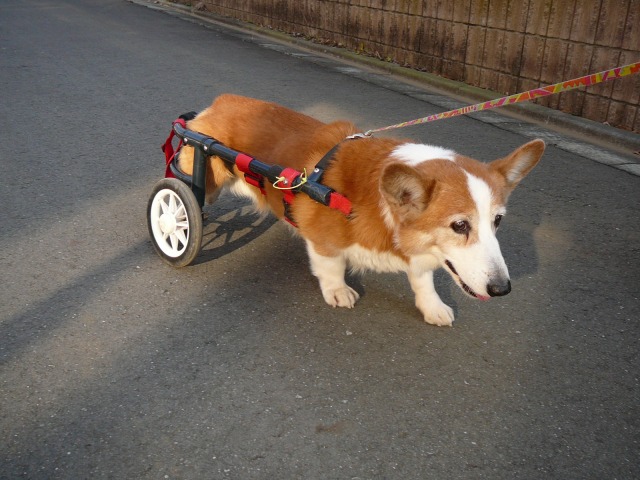 640×480-P1120948.jpg