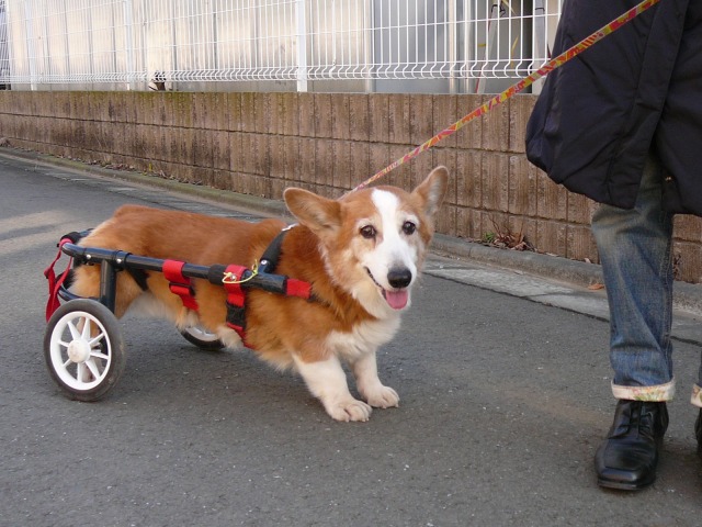 640×480-P1120949.jpg