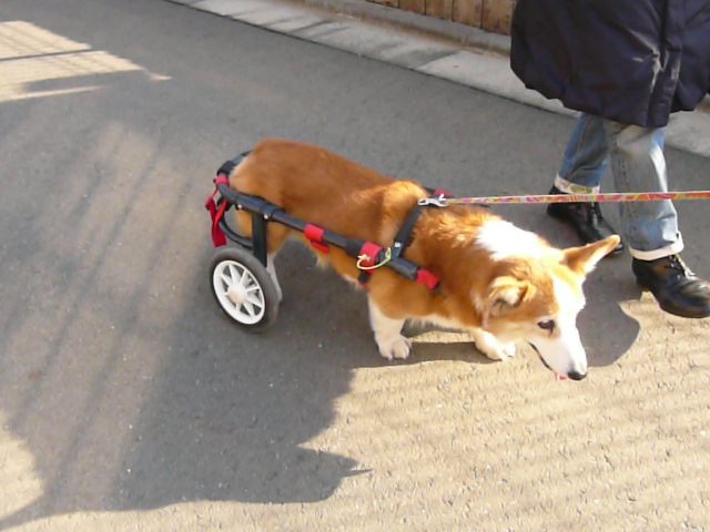 640×480-P1120950.jpg