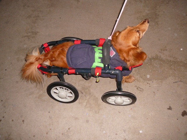 640×480-P1120980.jpg