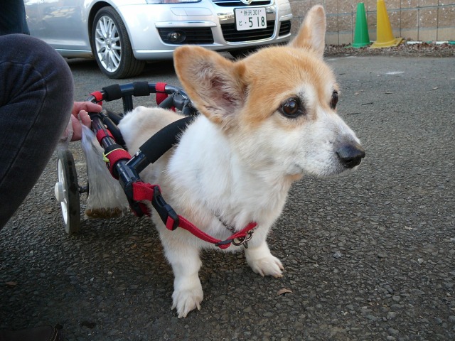 640×480-P1130042.jpg